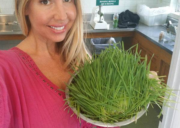 Using Magical Herbs To Heal