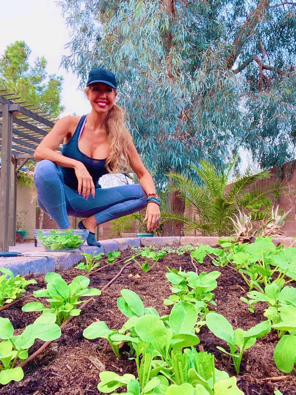 Weekly Messages from spirit