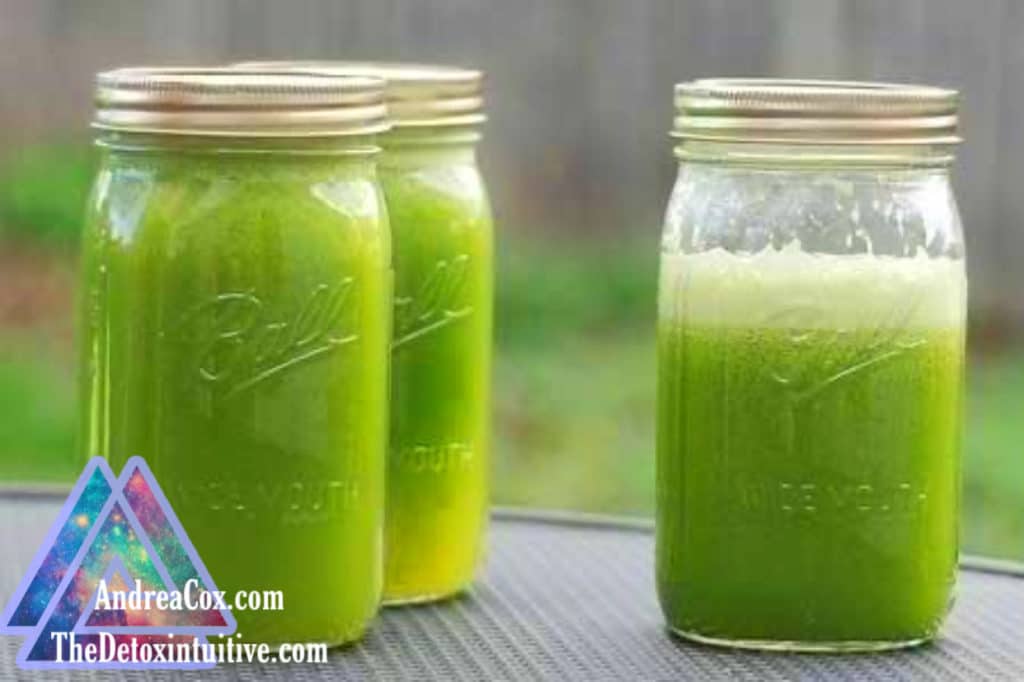 Green juice being handed out in canning jars at one of Andrea's fasting retreats. 